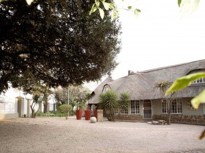 The paved driveway and thatched roofline under a large tree.