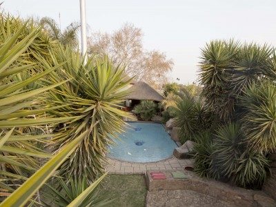The swimming pool and planting in the garden.